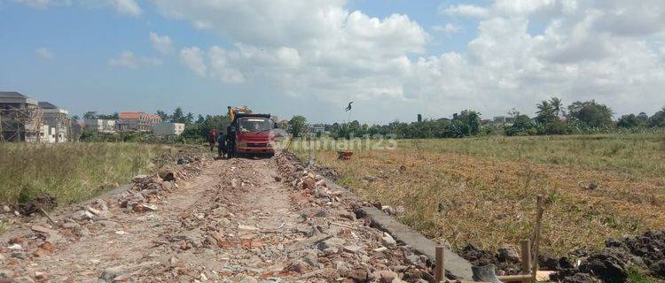 Dikontrakkan tanah view sawah dekat pantai Seseh Munggu 1