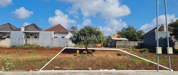 Dijual Tanah Murah Lingkungan Villa Di Pura Masuka Ungasan 1