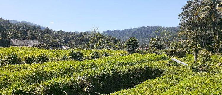 Cheap land for sale View Perbukitan in Sediment Talibeng 1