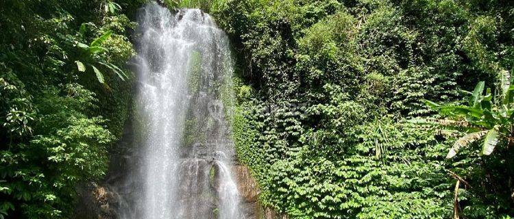 Land For Sale With A Very Natural View Of A Waterfall In Munduk 1