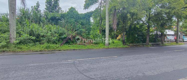 Buc Dijual Tanah Berlokasi di Jalur Bisnis Kota Gianyar 1