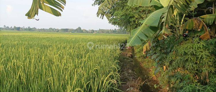 Tanah Murah Zona Perumahan di Kabupaten Bekasi Cabang Bungin  1