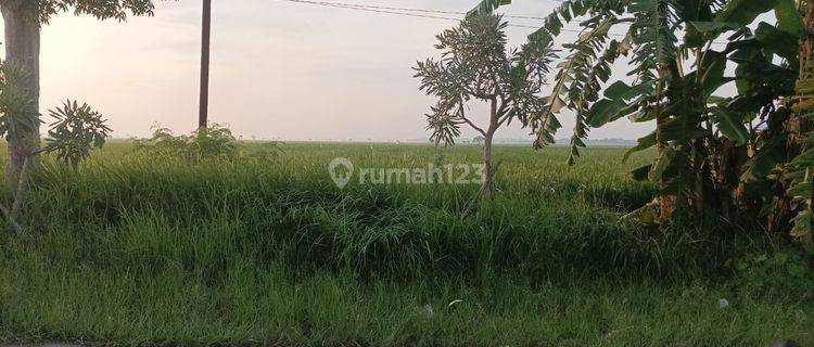 Tanah Murah 400 Ha Zona Industri Kabupaten Bekasi Cabang Bungin 1