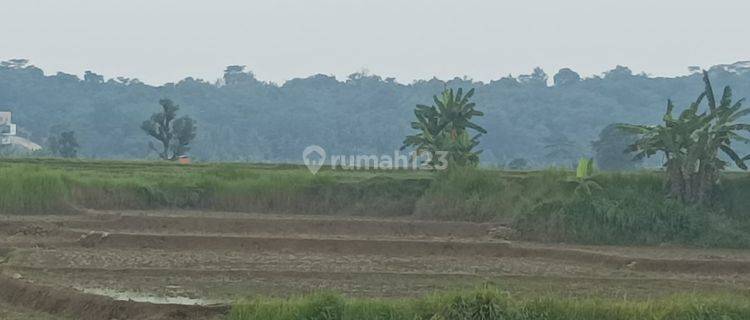 Tanah Murah Pinggir Jalan Raya Untuk Perumahan di Cariu Bogor 1