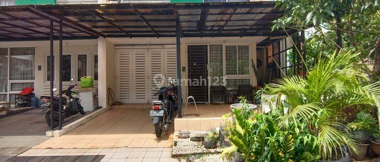 Jual Murah Banget Rumah Siap Huni Gading Serpong  1