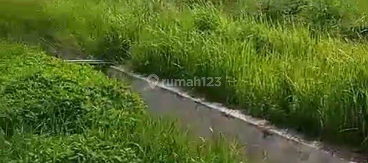Tanah INDUSTRI/GUDANG 400000 m2 SHM Kragilan, Serang 1
