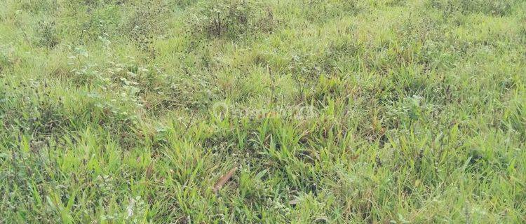 Dijual cepat BU murah Tanah 1735 m2 SHM bantarpanjang, Kuningan 1