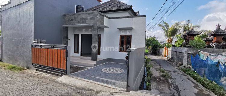 Rumah Murah Siap Huni di Siulan Denpasar Timur View Sawah 1