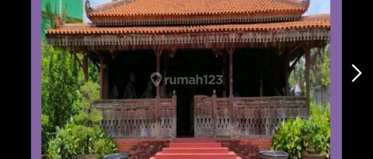 Dijual cepat, murah, rumah joglo di Raya Tuban-Babat 1