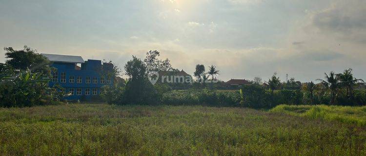 Tanah Dengan View Istimewa Sawah Dan Gunung 1