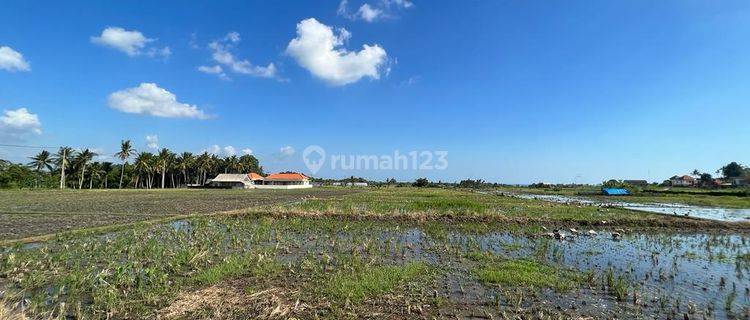 Dijual Tanah Berada Dikawasan Belulang Desa Mengesta Penebel Tabanan Bali 1