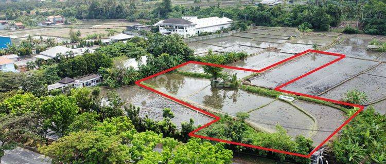 Dijual Tanah Ideal Untuk Di Bangun Hotel Gudang Ataupun Industri 1