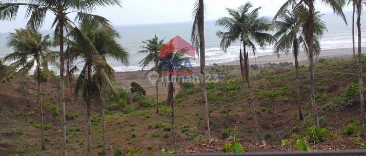 Tanah Dan Perkebunan Pinggir Pantai Agra Bintana Cianjur Selatan 1