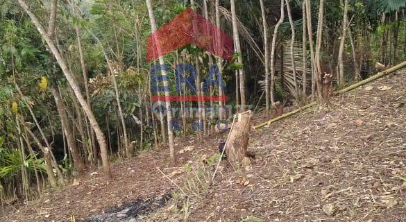 Kebun Akses Masuk Mobil Cigobang Cijenuk Bandung Barat 1