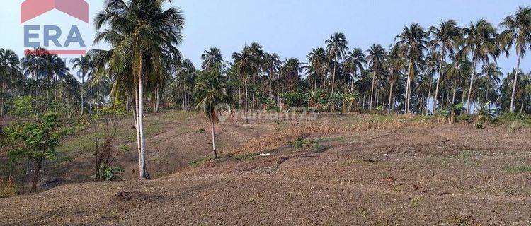 Tanah Lahan Sukamanah Bojongkaso Agrabinta Cianjur 1