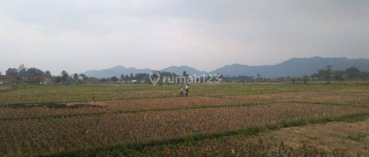 Dijual Lahan Bisa Untuk Industri Mainroad Cipeuyeum Ciranjang Cianjur 1