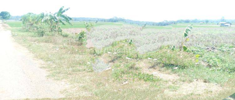 Tanah Datar Desa Sumurbarang Sidajaya Subang 1