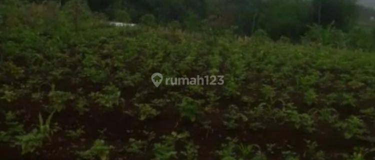 Tanah Subur Pinggirsari Arjasari Banjaran Bandung 1