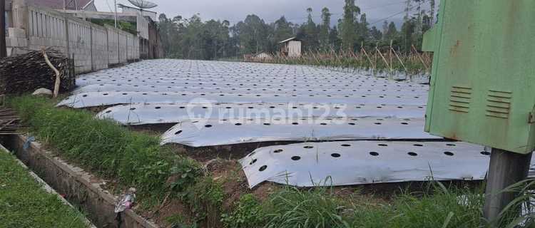 TANAH DIJUAL – LOKASI STRATEGIS PINGGIR JALAN RAYA! Garut Cikajang 1