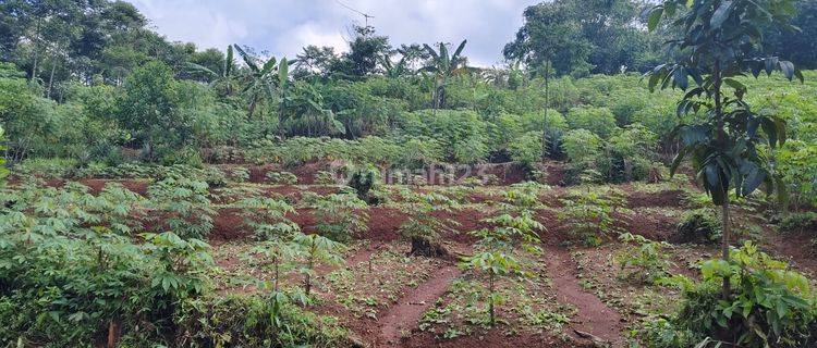 Lahan Kebun Cocok Untuk Pertanian Mainroad Jl. Kabupaten Subang 1