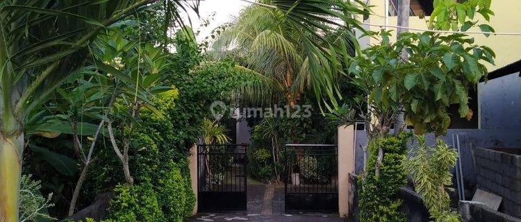 F O R S A L E Rumah Kost 3 Lantai Lengkap Area Ungasan 1