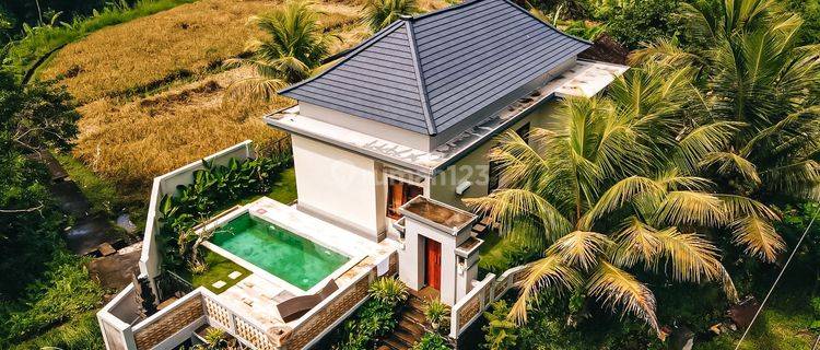 Spacious Modern Villa In Tampak Siring Close To Ubud  1