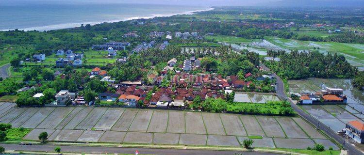 f r e e h o l d  Dijual Tanah Premium Jalan Kaki Arah Pantai & Ciputra Resort 20 Menit Ke Canggu 1