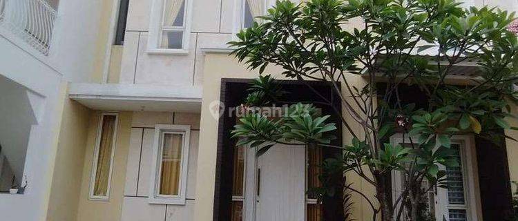 Rumah di Sutera Leora Alam Sutera  1