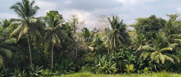 Land for sale in Gulingan, Mengwi, Badung, Bali 1