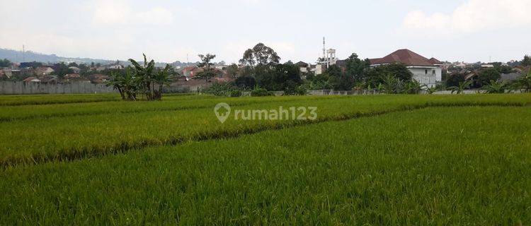  Dijual Tanah Harga Dibawah Njop Lokasi Bandung Timur  1