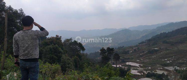 Tanah+ Bangunan Buat Penginapan view lepas d bogor  1