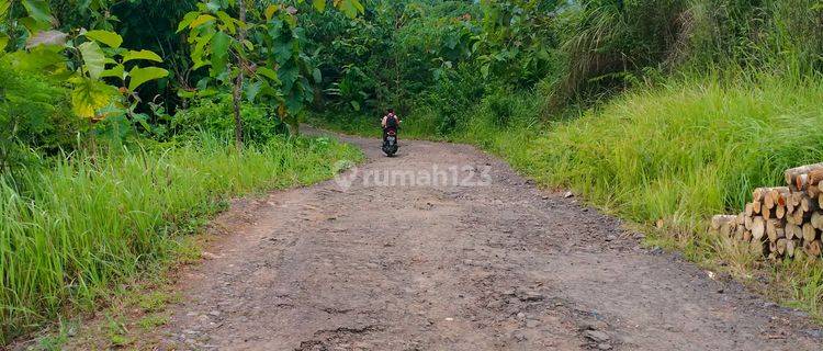 lokasi Buat kandang ayam+Sapi di sukabumi 1
