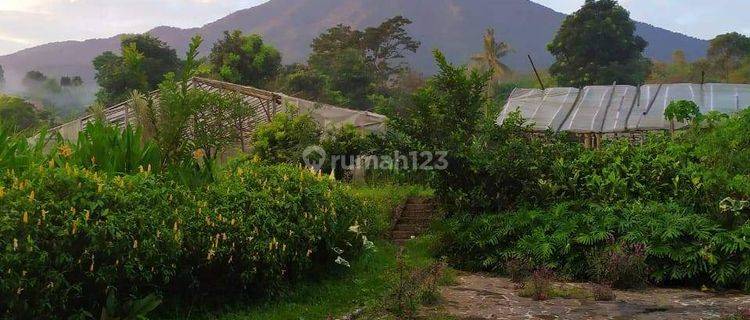 lokasi+villa+ bunga 2 + buah buahan sejuk view gunung di bogor 1