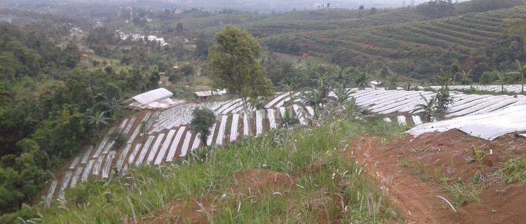 Lokasi Sejuk MDPL 900 View kota sukabumi  1