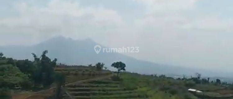 Tanah Di jual Cepat view lepas kota&Gunung MDPL 900 di bogor puncak  1