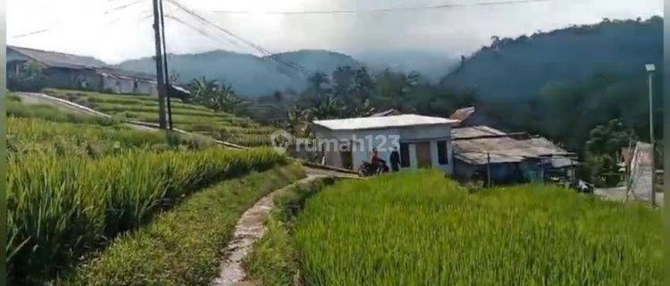 Tanah Buat resto& villa Sejuk View Gunung di pamijahan bogor barat 1