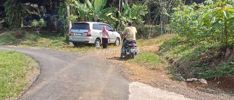 lokasi buat ternak domba & pendovo d parakan salak sukabumi  1