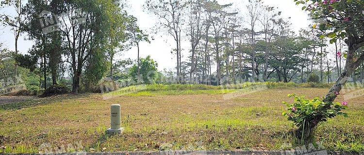 Tanah Pojok View Danau Lokasi Strategis Di Telaga Golf Araya 1