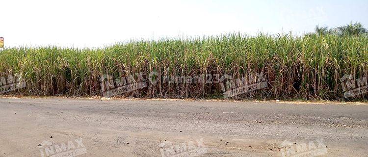 Tanah Luas Cocok Untuk Pabrik Lokasi Dekat Gatra Mapan Di Pakis, Kabupaten Malang 1