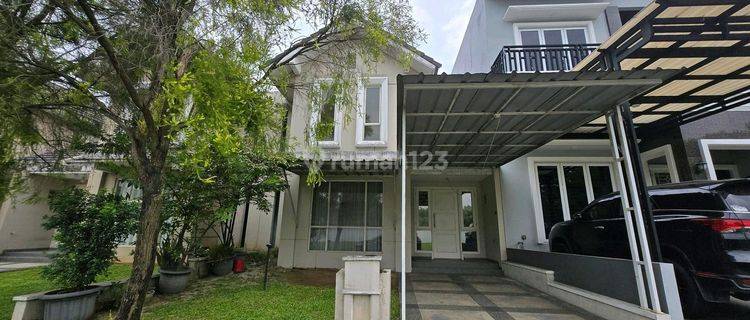 Disewa Rumah Besar Di Cluster Bahana Suvarna Sutera Tangerang 1