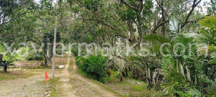 RESORT DAN RESTAURANT DI MOJOKERTO KECAMATAN GONDANG LUAS TANAH 190.236M2 DENGAN LAHAN YANG MASIH LUAS UNTUK DIKEMBANGKAN 1