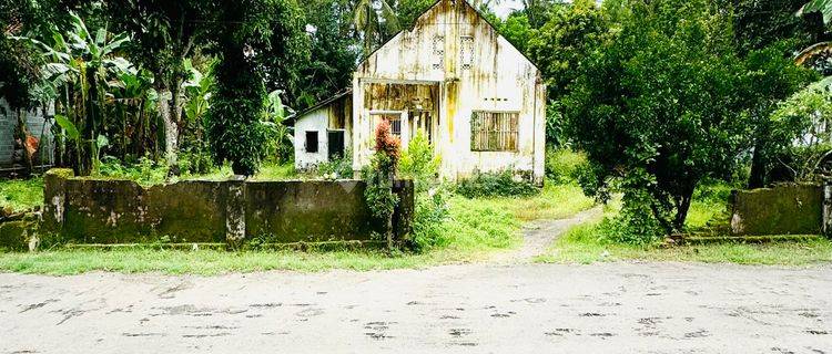 Tanah Strategis 8km Dari Bandara Yia Yogya, Kulonprogo 1