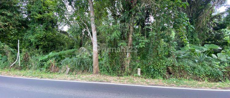 Tanah Depan Jalan By Pass Manado Bitung 1