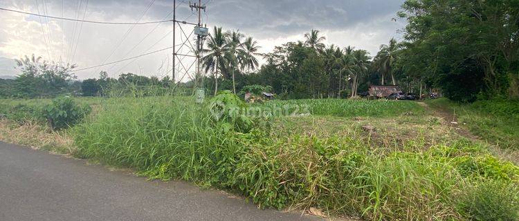 Tanah Telaga Depan Jalan Aspal 1