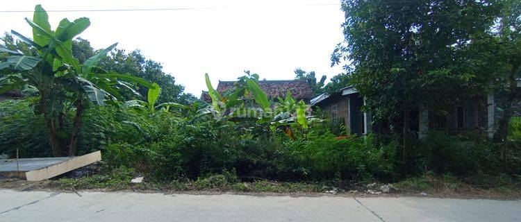Tanah Bagus Mangku Jalan Utaman Dekat Pasar Dan Kelurahan 1