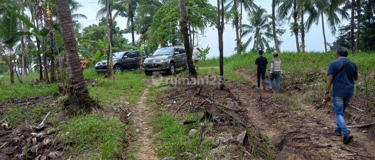 Tanah Komersil di Cigondang, Lokasi Cantik Harga Menarik 1