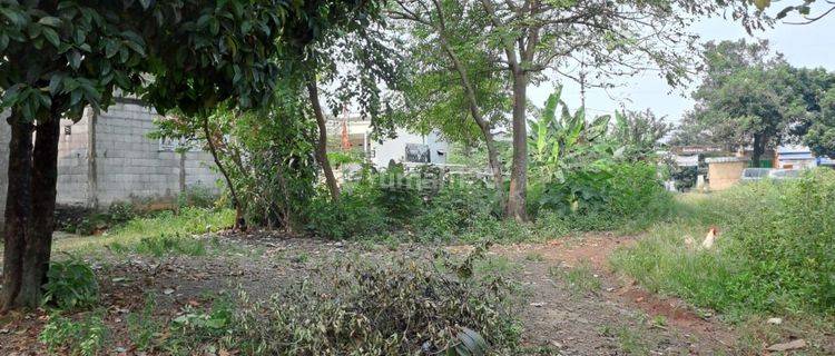 Tanah Produktif Cocok Untuk Perumahan 1