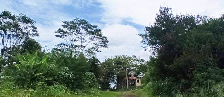 For Rent Batujajar Luas 1.7 Ha SHM 3 Sertifikat  1