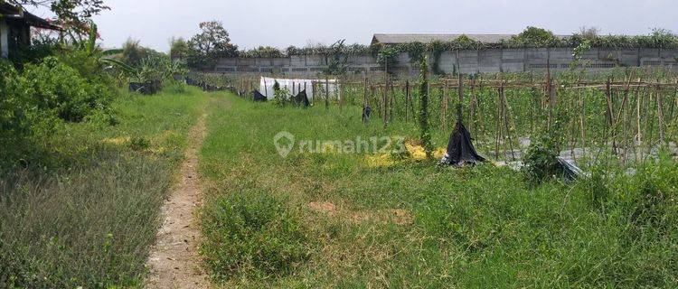  Bangunan Gudang 1500 m² Dan Lahan 5 Ha Batujajar Main Road  1