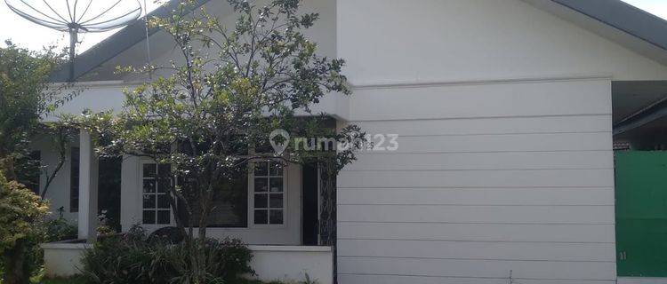 Villa Mewah 799 Juta Sejuk Luas Cipanas Puncak Kota Bunga Cianjur Indo Alam
 1